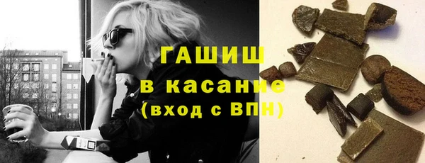 индика Арсеньев