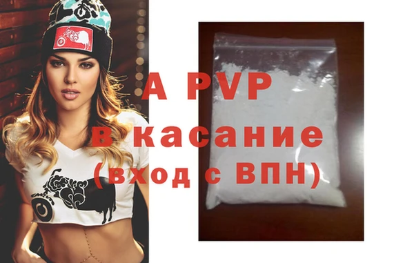 индика Арсеньев