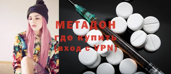 индика Арсеньев