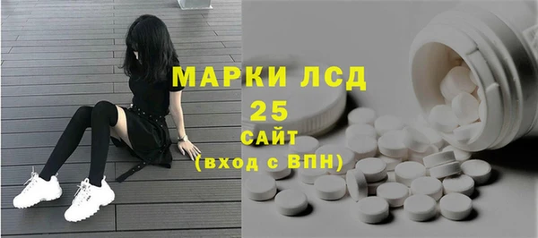 spice Аркадак