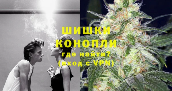 spice Аркадак