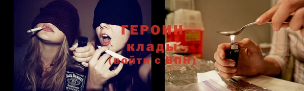 индика Арсеньев