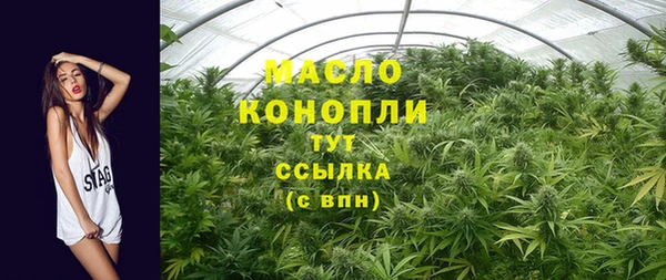 индика Арсеньев