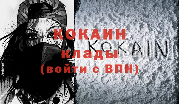 индика Арсеньев