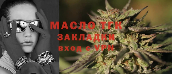 индика Арсеньев