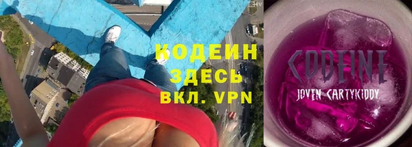 индика Арсеньев